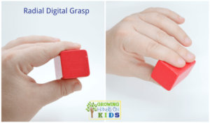 Radial digital grasp, typical pencil grasp development in children.