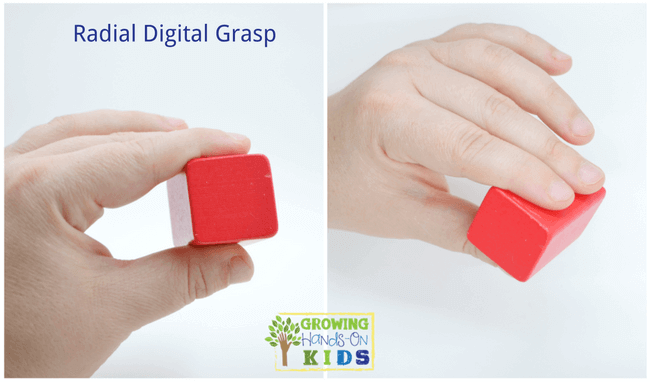 Stages of a developing pencil grip  Learning To Write – My Little