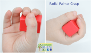 Radial Palmar Grasp, typical pencil grasp development in children.