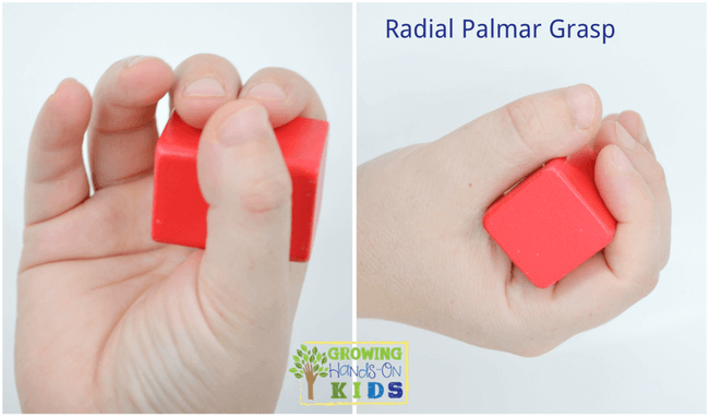 Radial Palmar Grasp, typical pencil grasp development in children. 