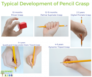 Typical Pencil Grasp Development for Handwriting in Children.