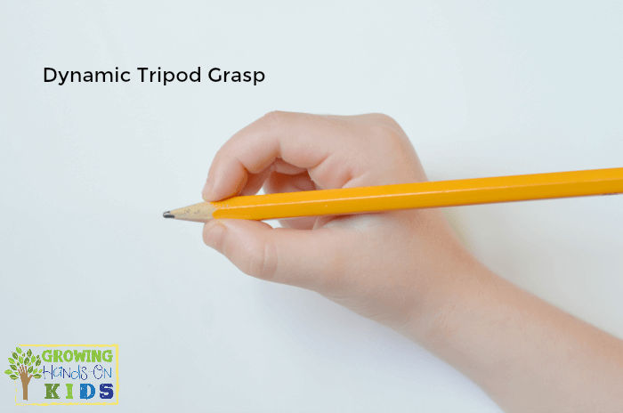 Dynamic Tripod Grasp