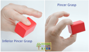 Inferior pincer and pincer grasp, typical pencil grasp development in children.