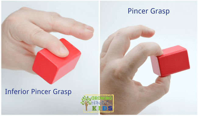 Inferior pincer and pincer grasp, typical pencil grasp development in children. 