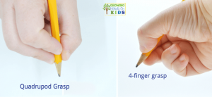 Quadrupod grasp for typical pencil grasp development.