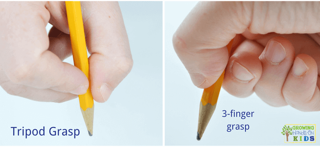 Tripod grasp, typical pencil grasp development in children.