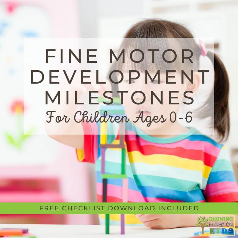 Typical Fine Motor Developmental Milestones for Ages 0-6