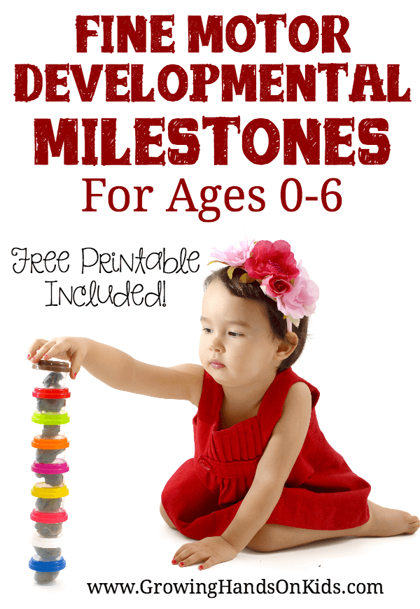 fine motor developmental milestones for ages 0-6