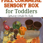Fall cornmeal sensory box for toddlers and preschoolers.