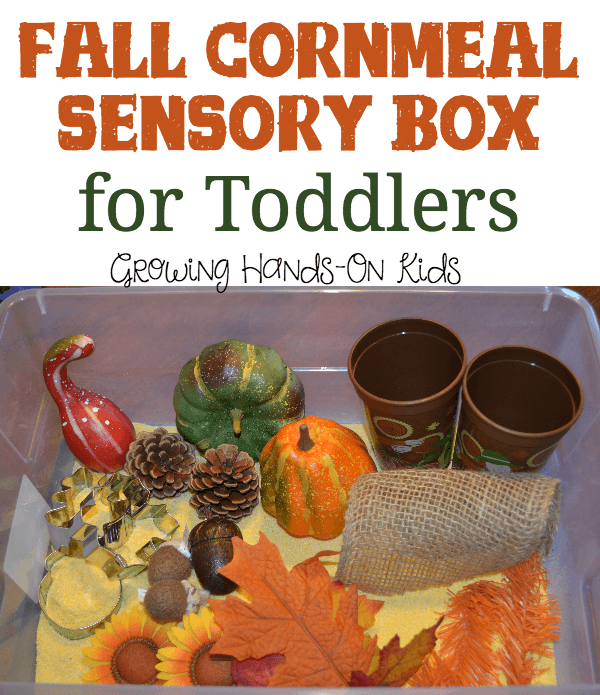 Fall Cornmeal Sensory Box for Toddlers