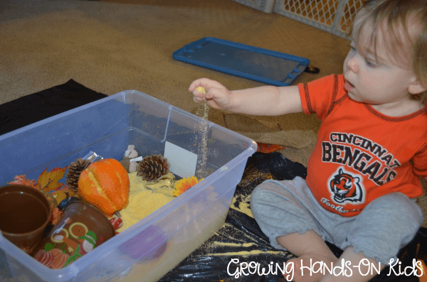 playing with fall cornmeal sensory box for toddlers and preschoolers.