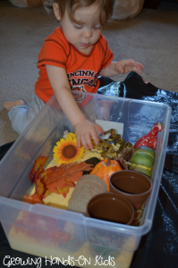 fall cornmeal sensory box for toddlers and preschoolers