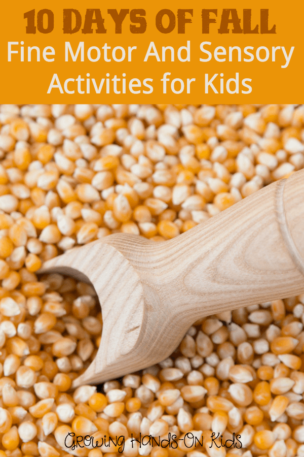 10 days of fall fine motor and sensory activity ideas for children.
