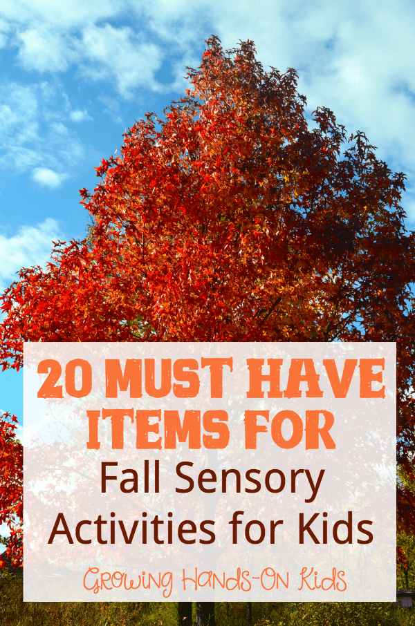 20 must have items you will need to create fall sensory activities for children.