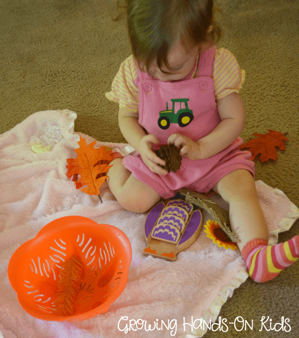 Investigating Fall sensory basket for baby