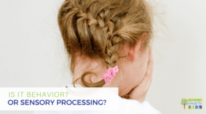 Is it behavior? Or Sensory Processing?