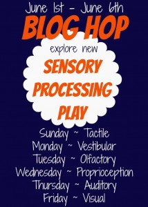 Sensory processing play