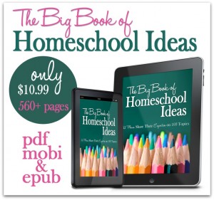 The Big Book of Homeschool Ideas from the iHomeschool Network