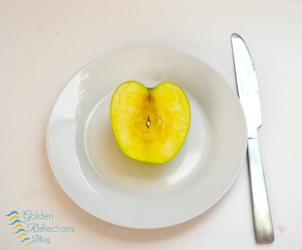 Apple snack tray for apple theme tot school week. www.GoldenReflectionsBlog.com