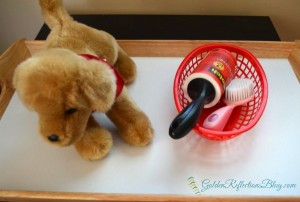 dog brushing tray for dog themed montessori inspired tot school week. www.GoldenReflectionsBlog.com