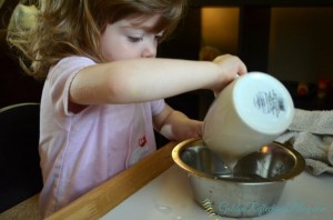 water pouring activity for dog themed montessori inspired tot school week. www.GoldenReflectionsBlog.com