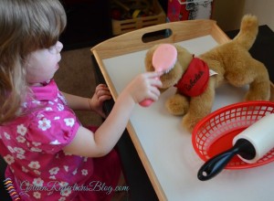 brushing dog for montessori inspired tot school week. www.GoldenReflectionsBlog.com