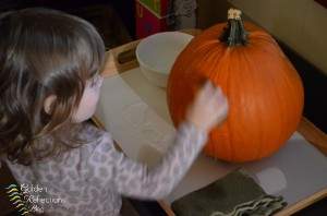 Pumpkin washing station for pumpkin theme tot school week. www.GoldenReflectionsBlog.com