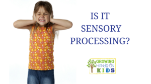 Is it really sensory processing disorder?