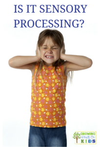 Is it really sensory processing disorder?