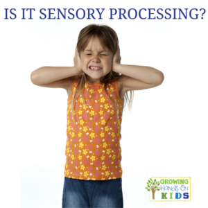 Is it really sensory processing disorder?