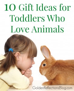 Have a child who lives animals? Check out these fun gift ideas for toddlers who love animals. www.GoldenReflectionsBlog.com