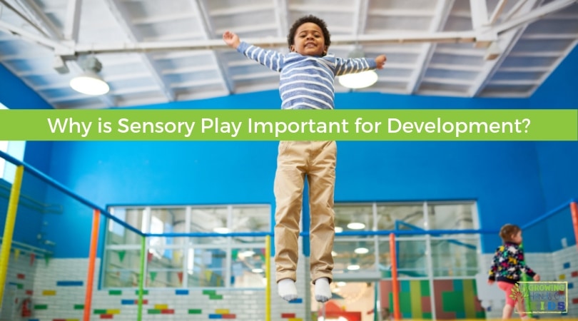 why sensory play is important for development