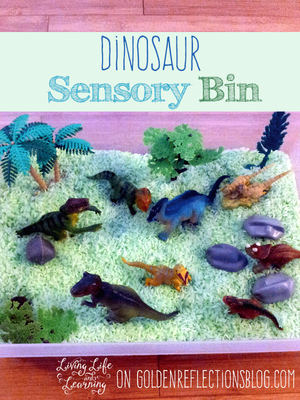 D is for Dinosaur sensory bin play for kids. www.GoldenReflectionsBlog.com