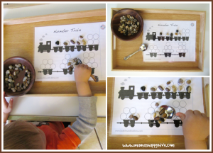 train rock transfer tot tray