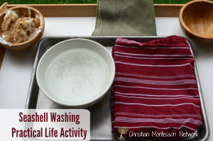 Seashell washing practical life activity
