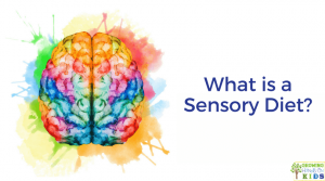 What is a sensory diet? For parents, educators, and therapists.
