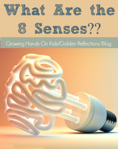 Did you know there are really 8 senses that are part of the sensory processing system, not just 5??