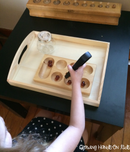 Acorn fine motor tray.