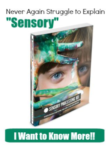 Sensory Processing 101