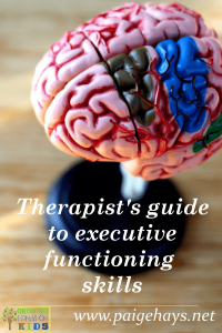 A therapist's guide to executive functioning, for occupational therapists, physical therapists and speech therapists.