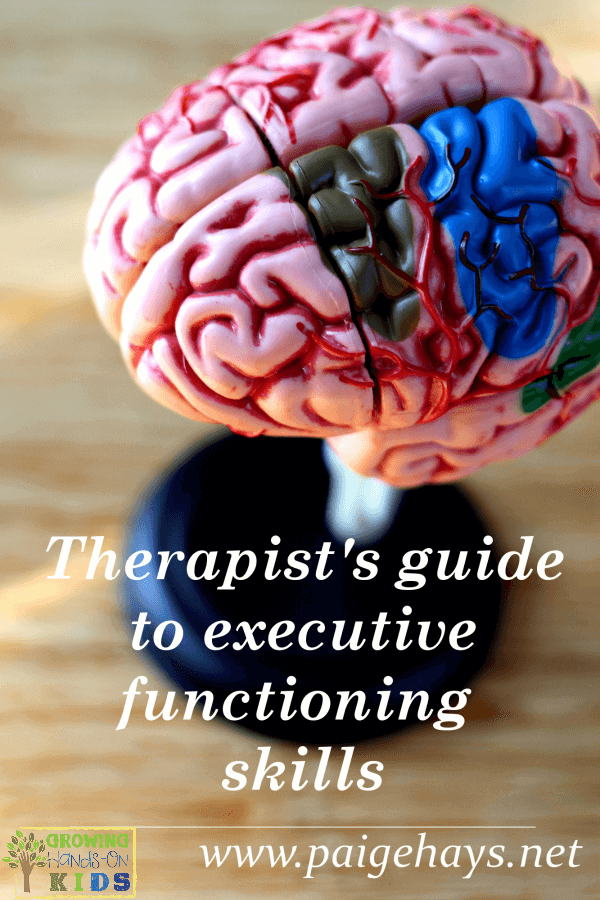 A therapist's guide to executive functioning, for occupational therapists, physical therapists and speech therapists.