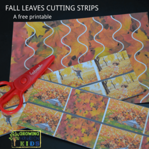 Fall leaves cutting strips for scissor practice with preschoolers.