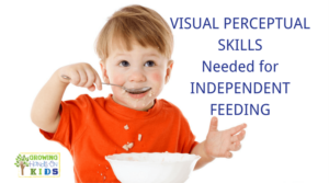 Visual perceptual skills needed for independent feeding skills with kids.