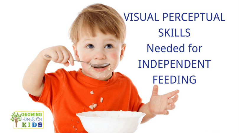 Visual Perceptual Skills Needed for Independent Feeding