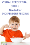 Visual perceptual skills needed for independent feeding skills with kids.