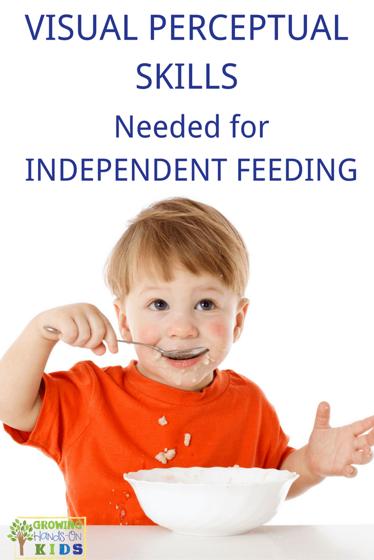 visual perceptual skills needed for independent feeding
