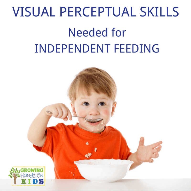 Visual perceptual skills needed for independent feeding skills with kids.