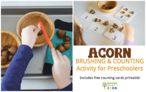 Acorn brushing and counting activity for preschoolers