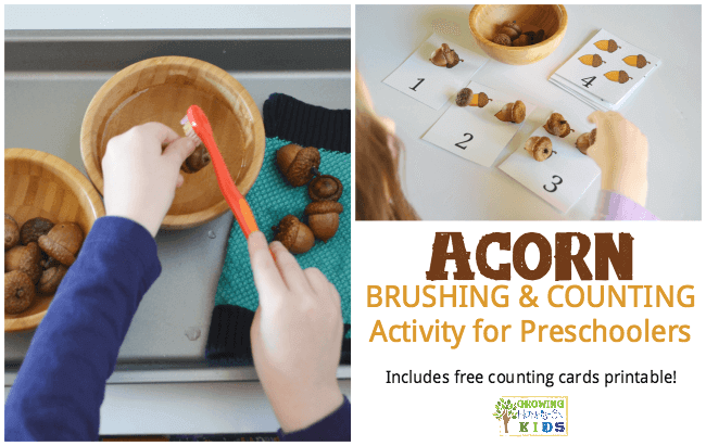 Acorn Brushing and Counting Activity for Preschoolers