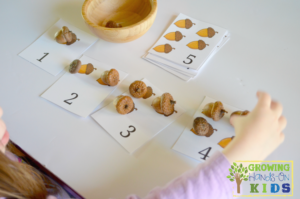 Acorn brushing and counting activity for preschoolers